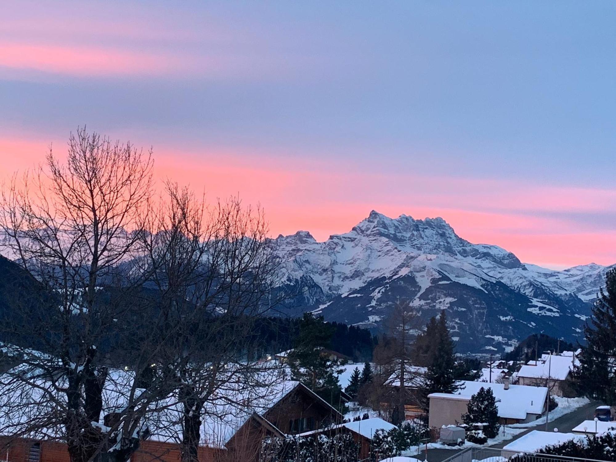 Chalet Plein Soleil Apartment Leysin Bagian luar foto